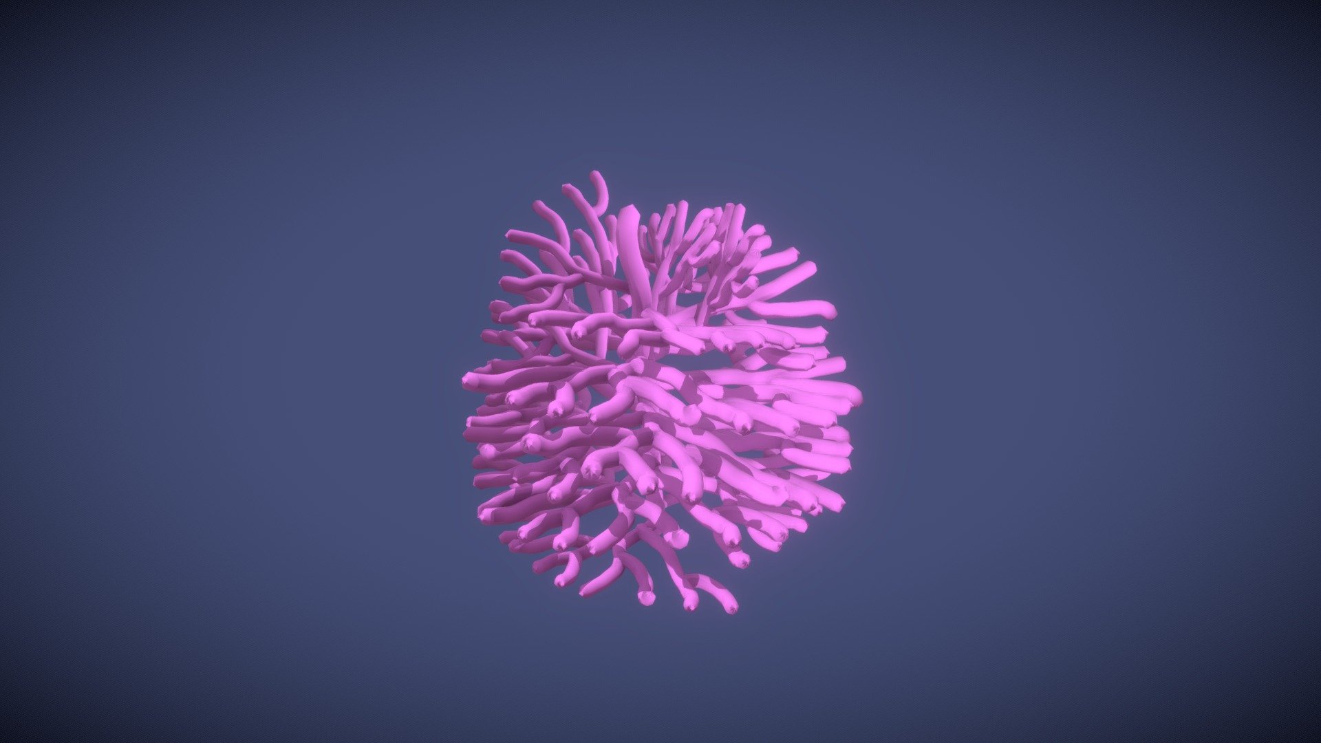 Simple Coral 02