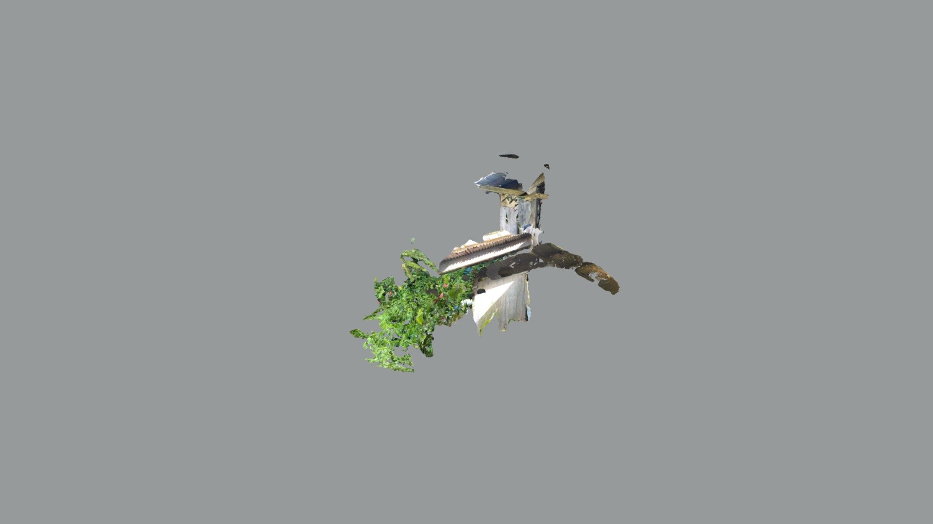 Jungle path