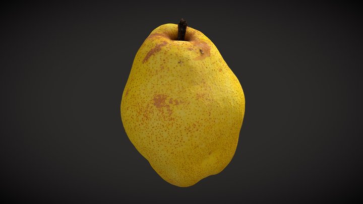 PearNew project 3D Model