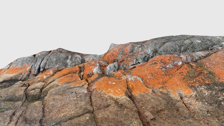 East coast rocks 3D Model
