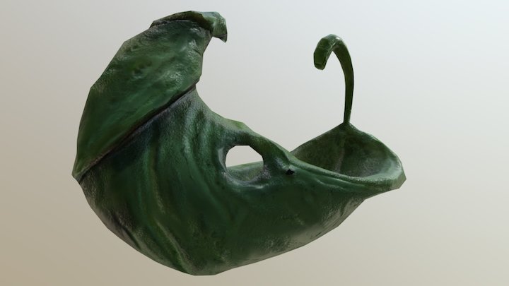 Leaf Raft 3D Model