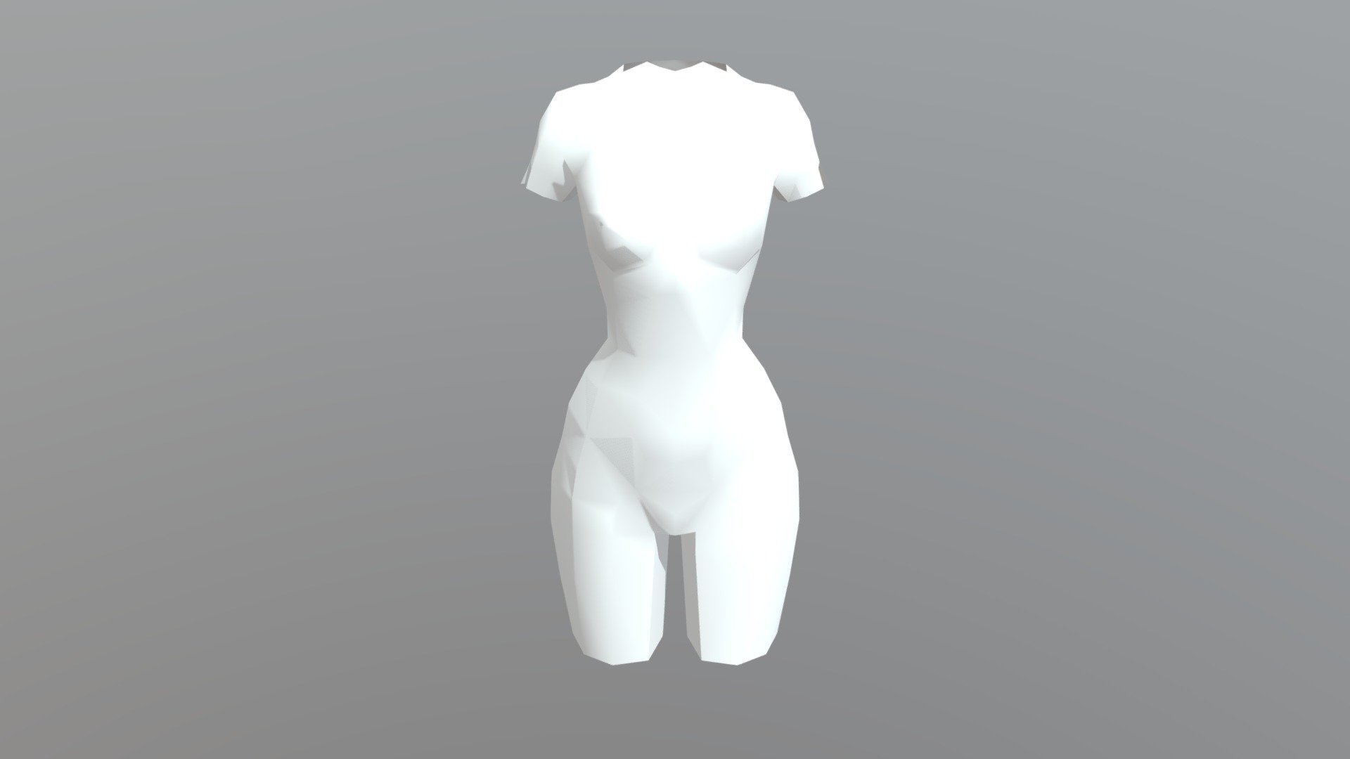 Torso For Retopo Template