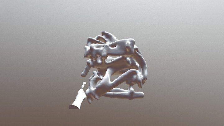 So Vai R02 3D Model
