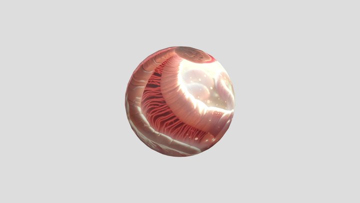 Intestine Skybox