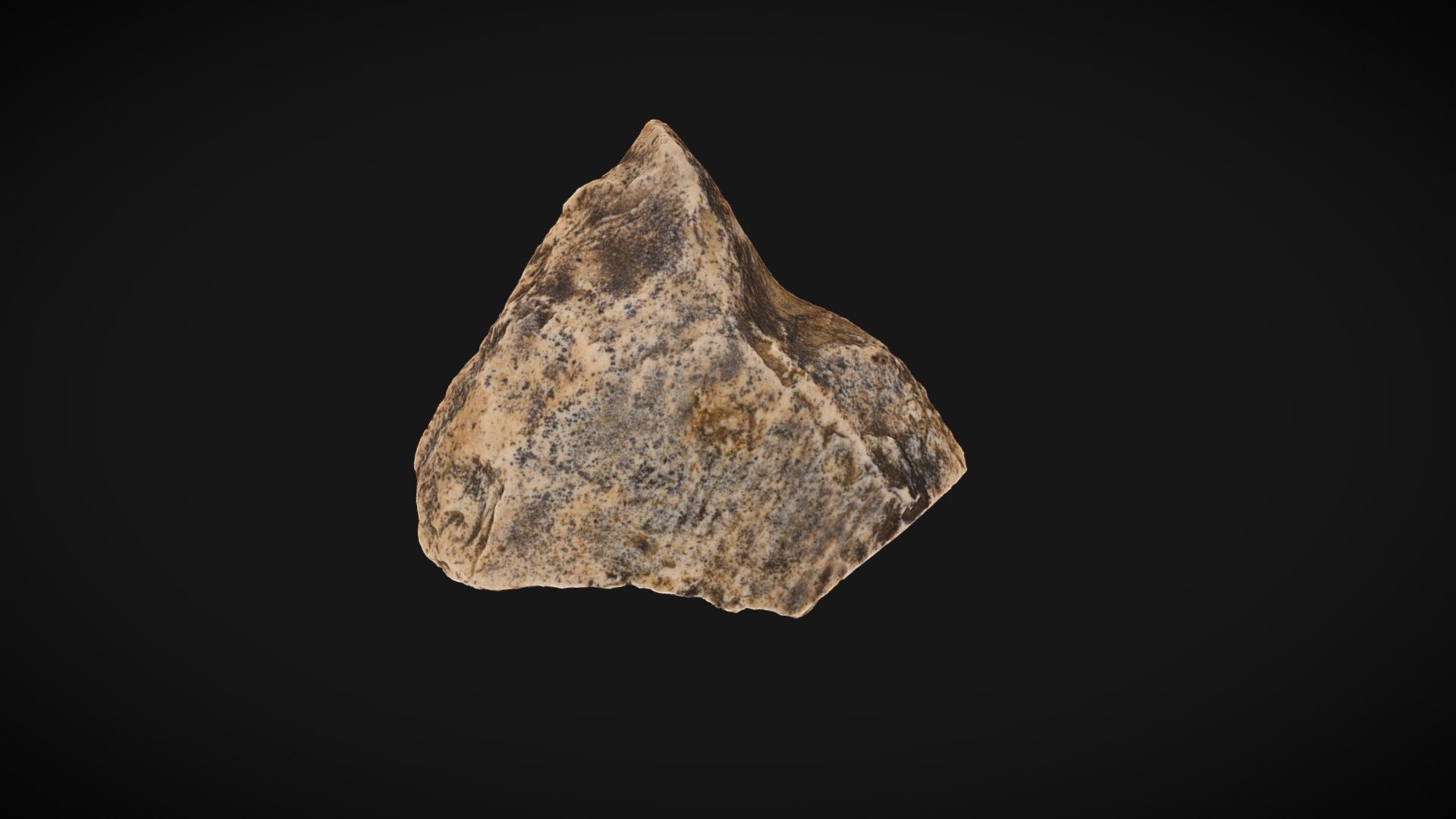 Point on ivory fragment - 3D model by Naumenko_Oleksandr [d7cdaa4 ...