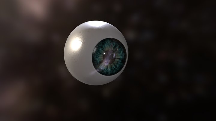 Eyeball Human 3D Model