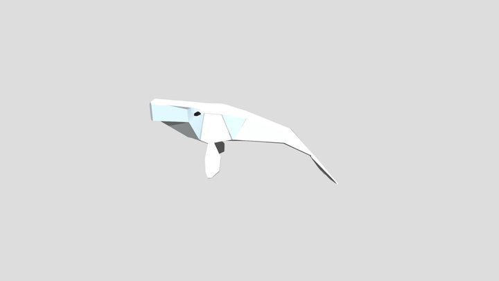 Beluga 3D Model