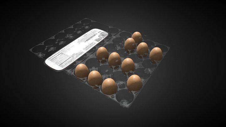 Plastic Egg Carton 3D Model