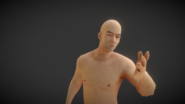 Rustplayer Gestures 3D Model