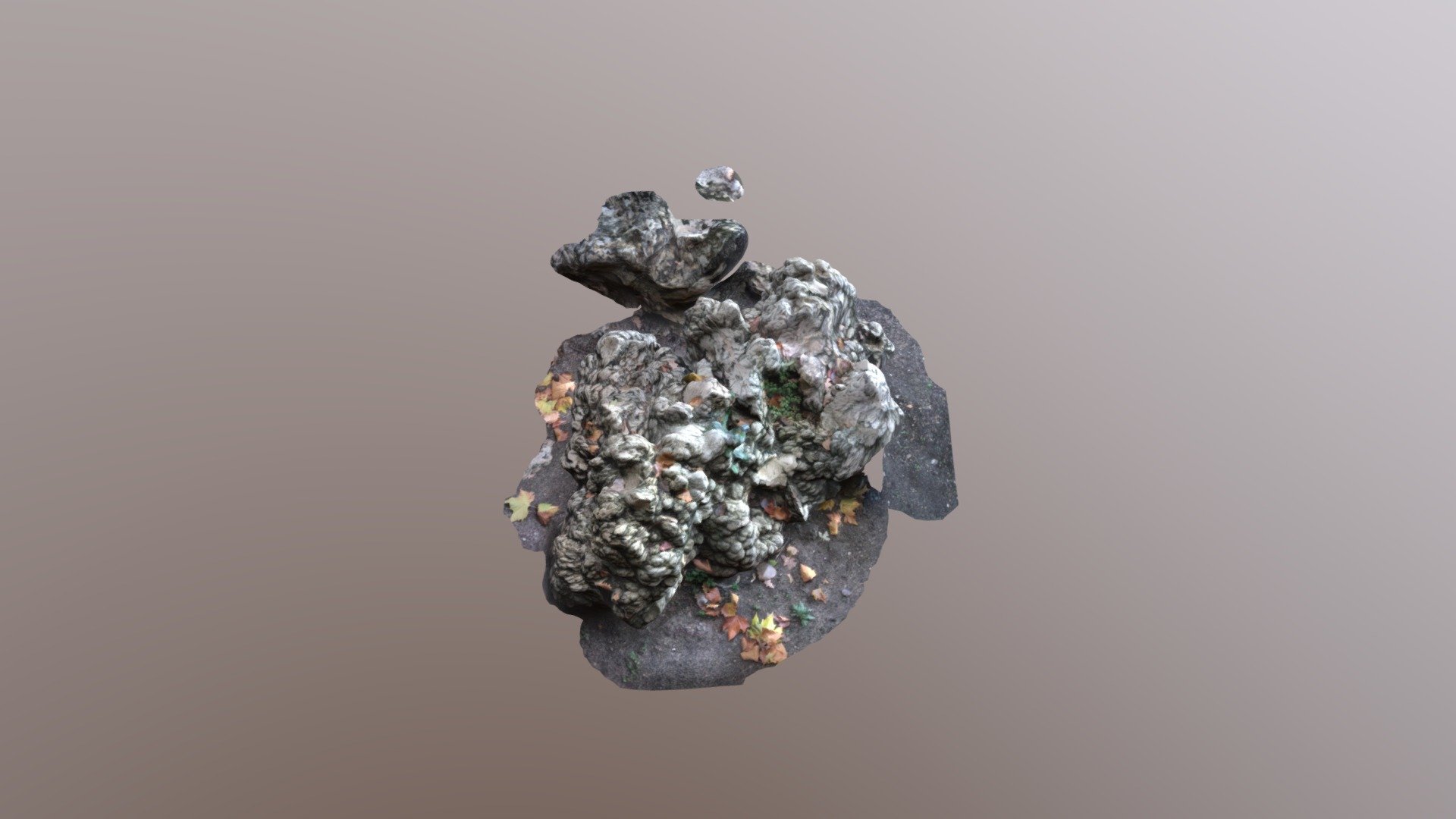 Rock