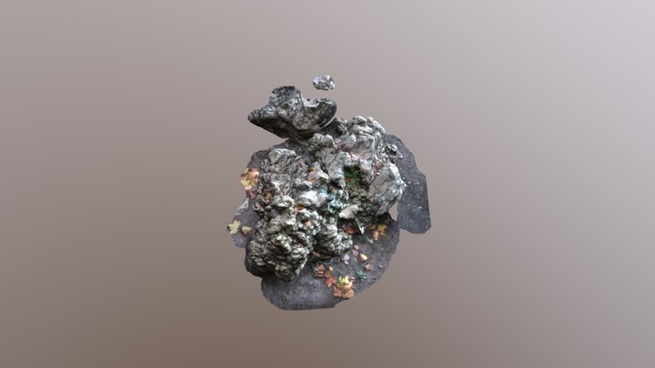 Rock 3D Model