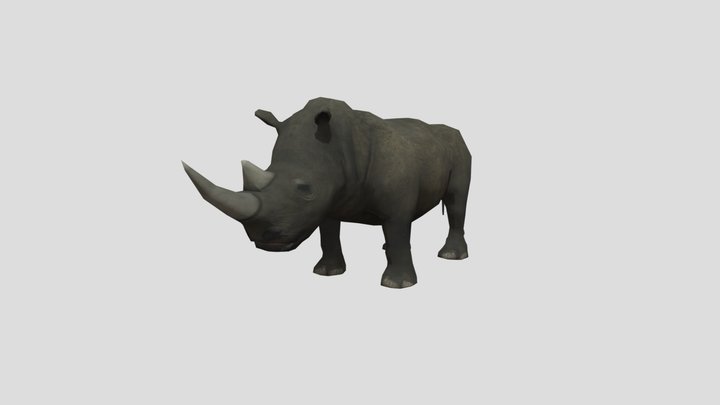 Rhinoceros