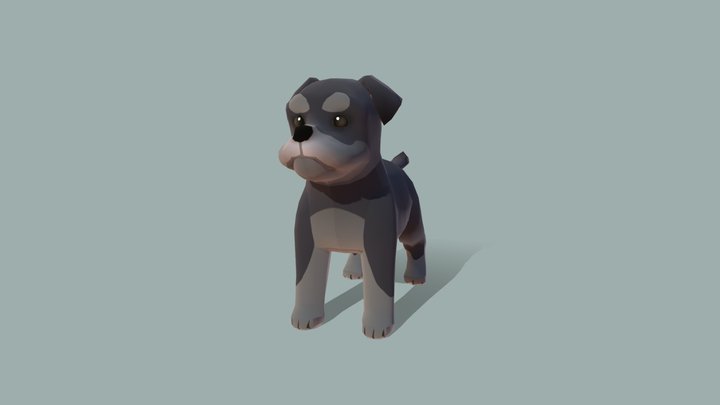 Dog_Schnauzer 3D Model