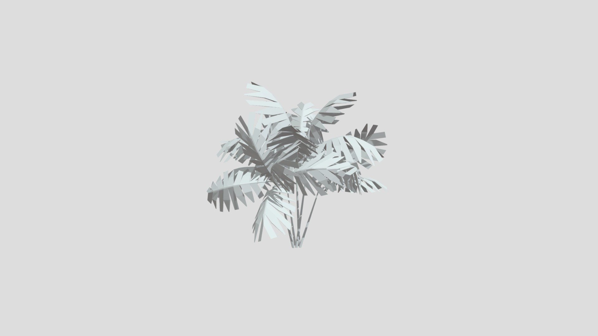 Ivory cane palm tree from Poly by Google