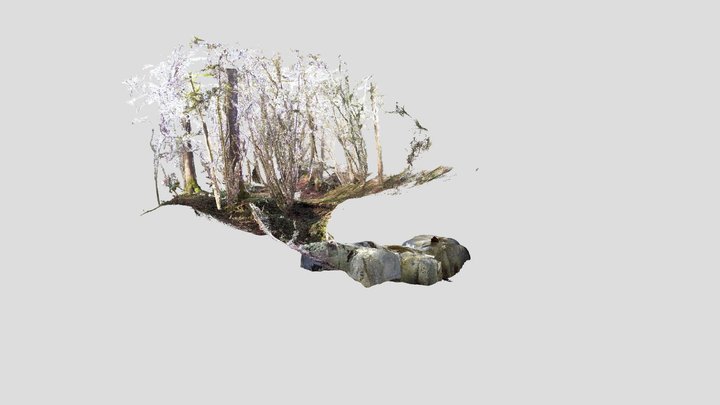 Caves d'un Château ruiné 3D Model