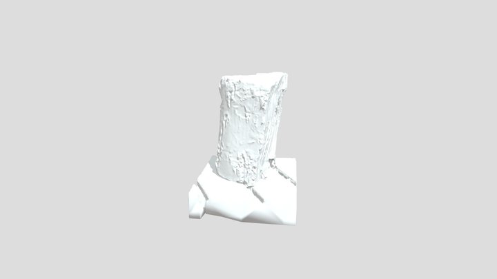 Prueba_Tronco 3D Model