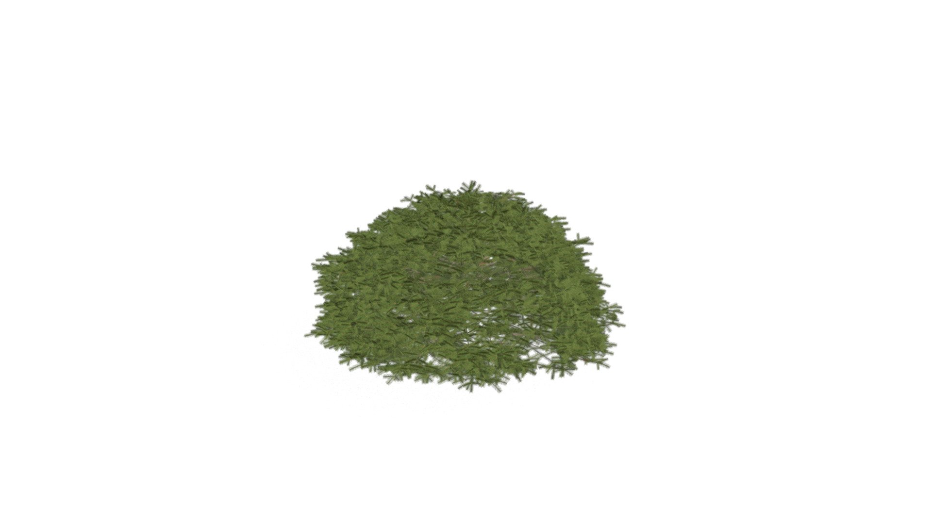Realistic HD Maxwell's Norway spruce (10/10) — Sketchfab embed 3D viewer