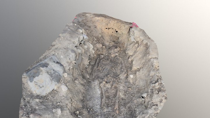 Neolithic grave from Hjärup, Scania, Sweden 3D Model