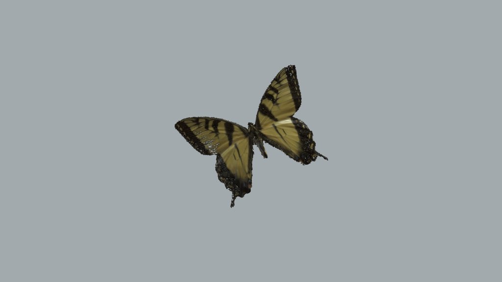 Butterfly (TREC)