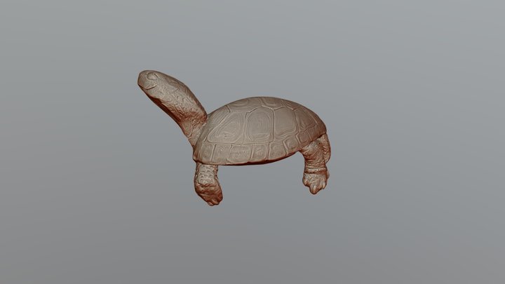 Slider Turtle_Garland Ranch_HDRScan1 3D Model