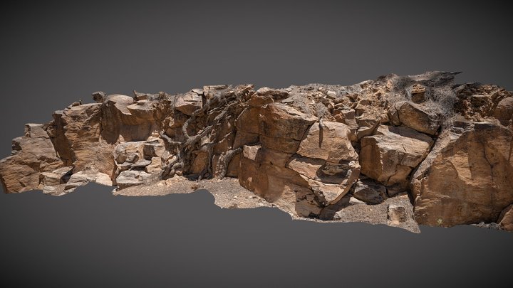Roots and cliffs in Tenerife 3D Model