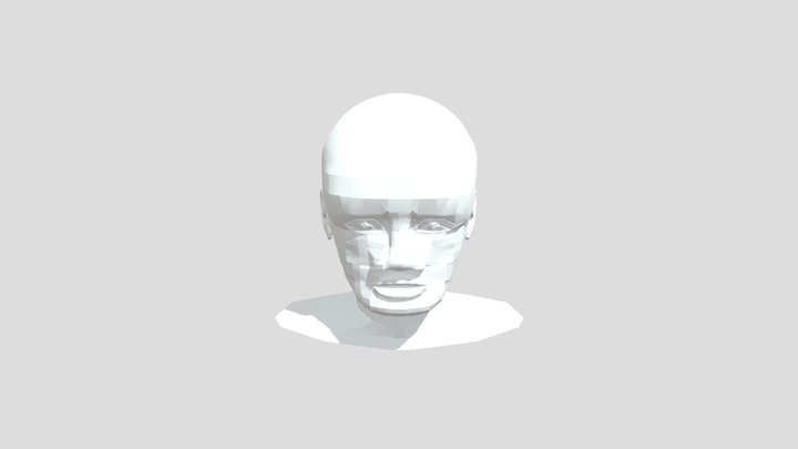Face_1 Unsmoothed 3D Model