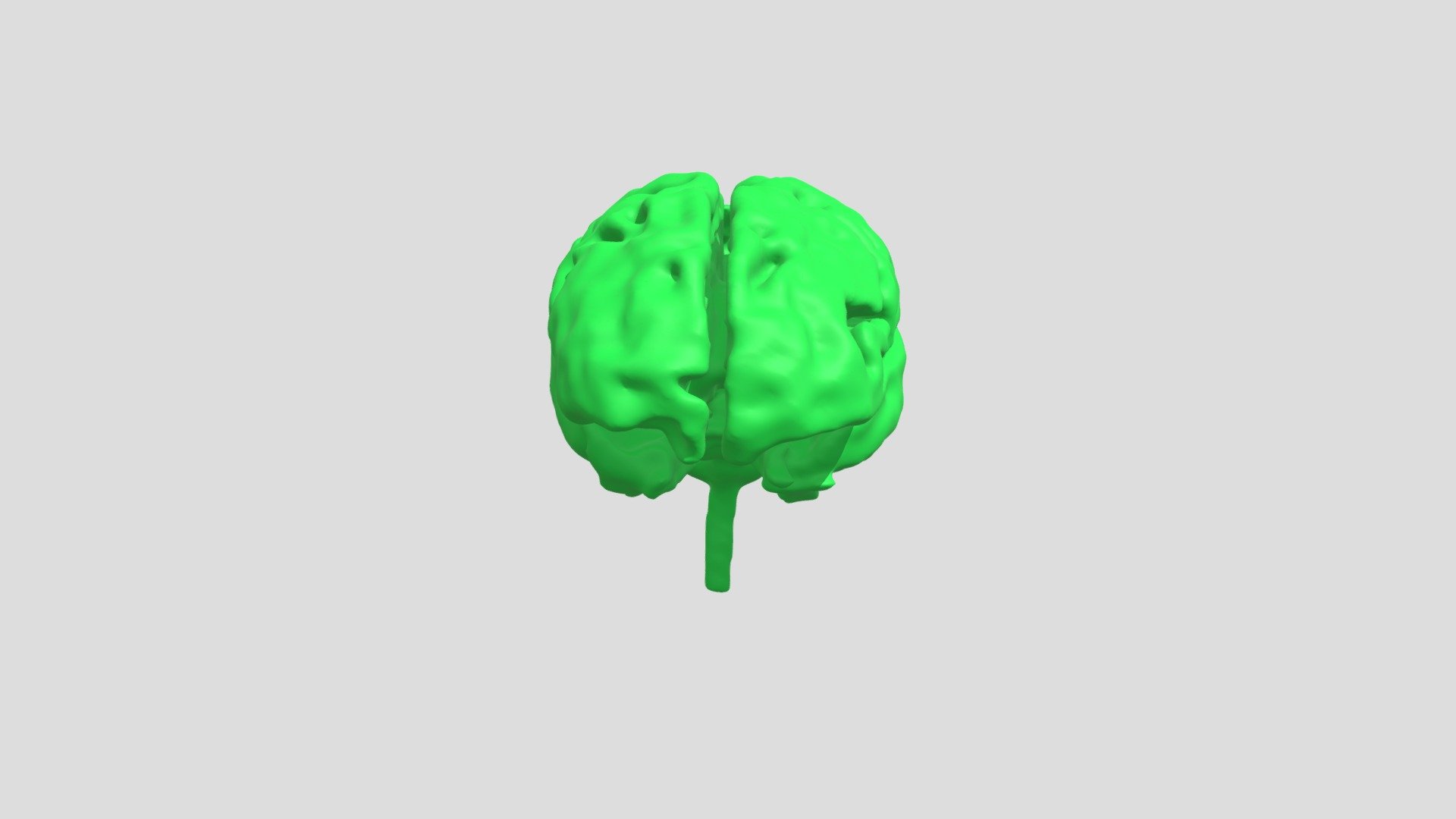 CUPS: Brain - Download Free 3D model by uyenmybui [d7f150e] - Sketchfab