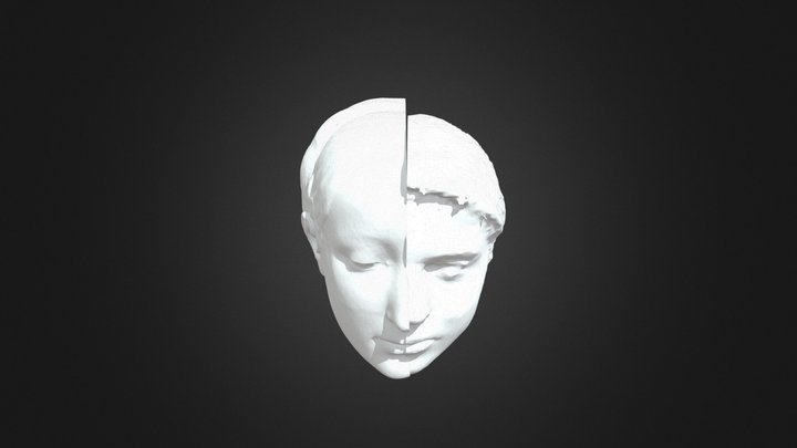 V&A London , Bust of woman (ORIGIN) 3D Model