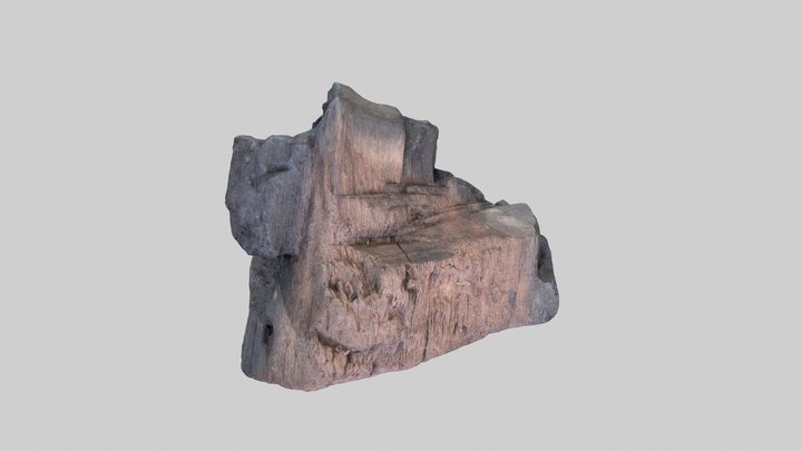 WD5162 SF3503 Must Farm Alder Bucket Fragment