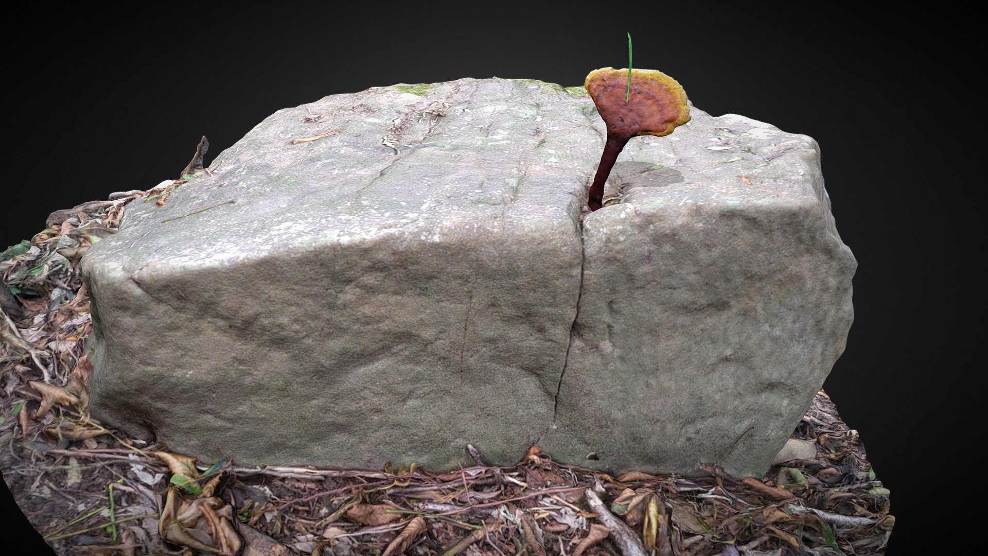 Stone Mushroom Grass ( Living Together )