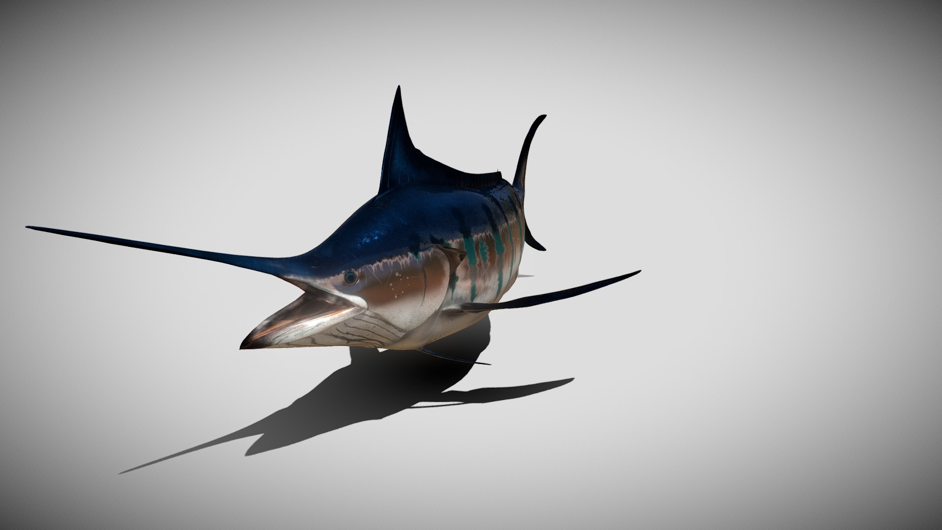 3D model Blue Stripped Marlin Animated - This is a 3D model of the Blue Stripped Marlin Animated. The 3D model is about a fish with a long tail.