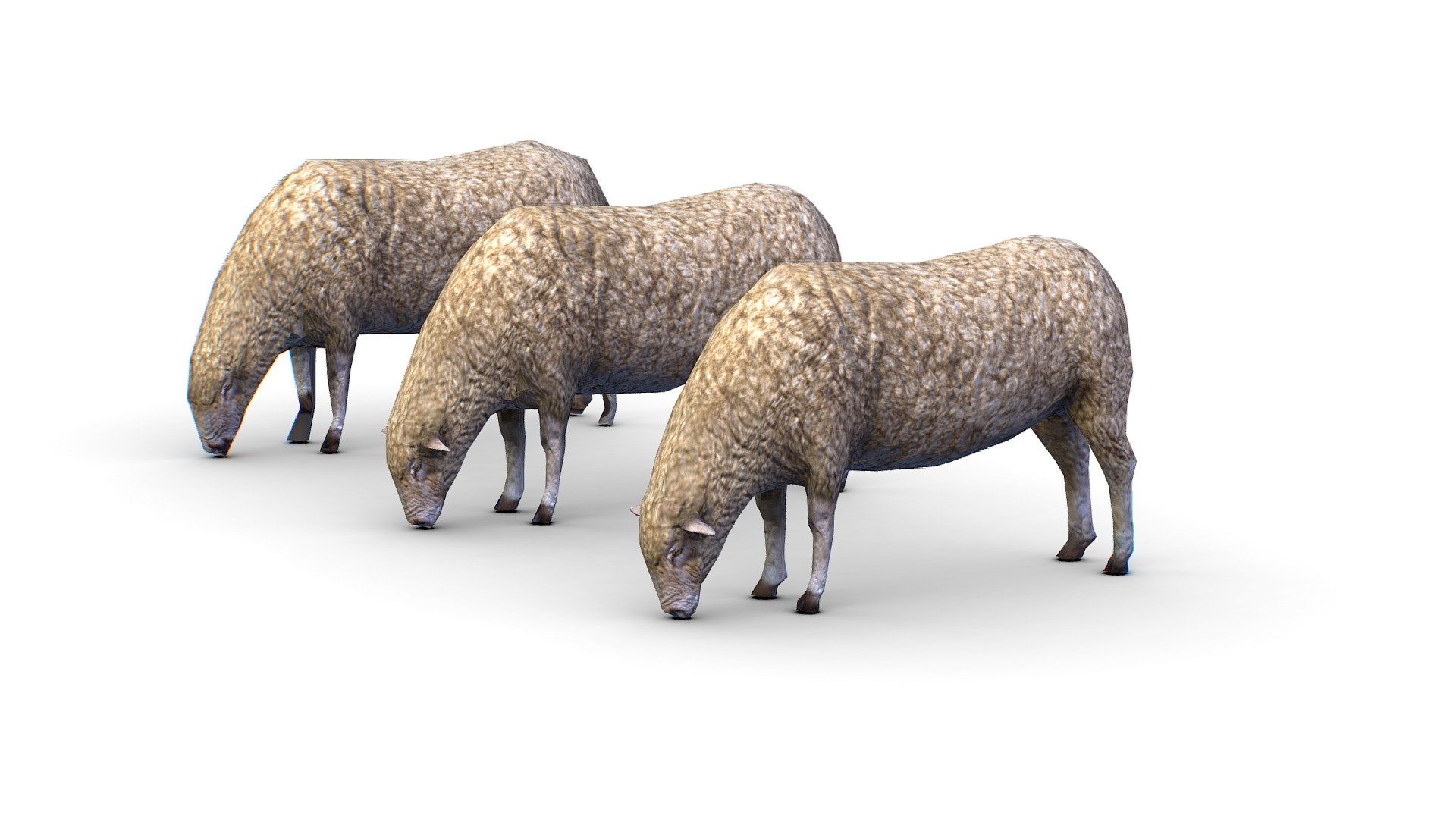 Low Poly Farm Sheep - Buy Royalty Free 3D model by Oleg Shuldiakov ...