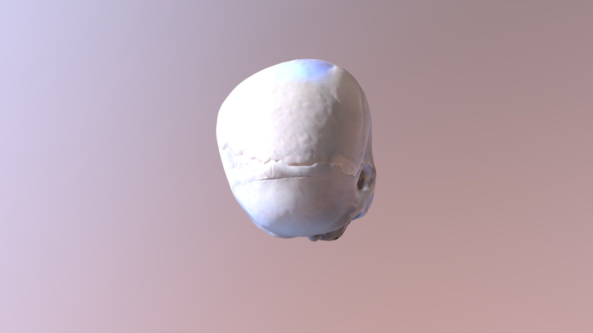 Skull (Camera 3D)