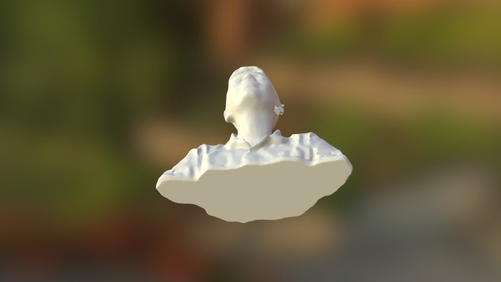 salimo mesh