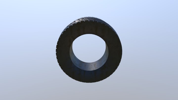 Dirt Tire 3D Model
