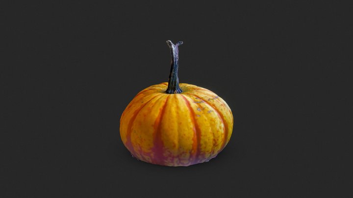 Pumpkin #2 3D Model