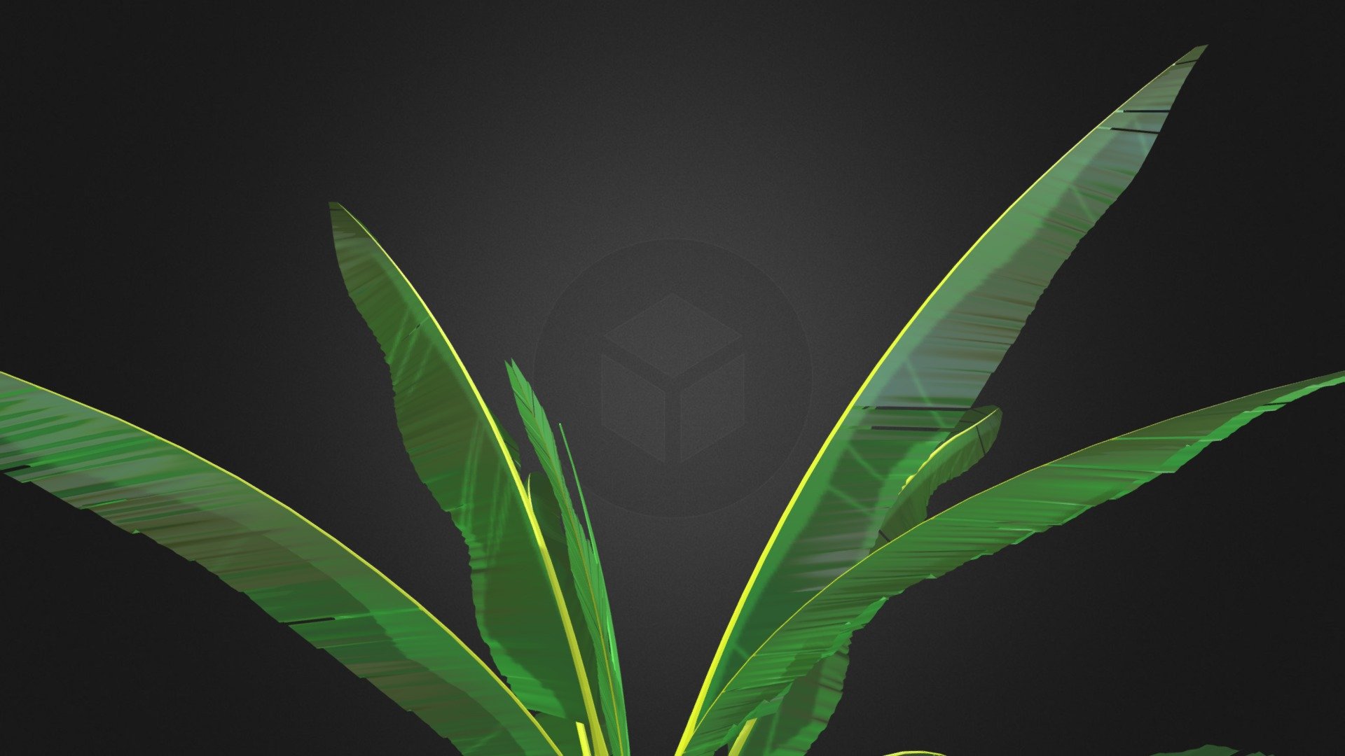 Musa Balbisiana Rejet — Sketchfab embed 3D viewer