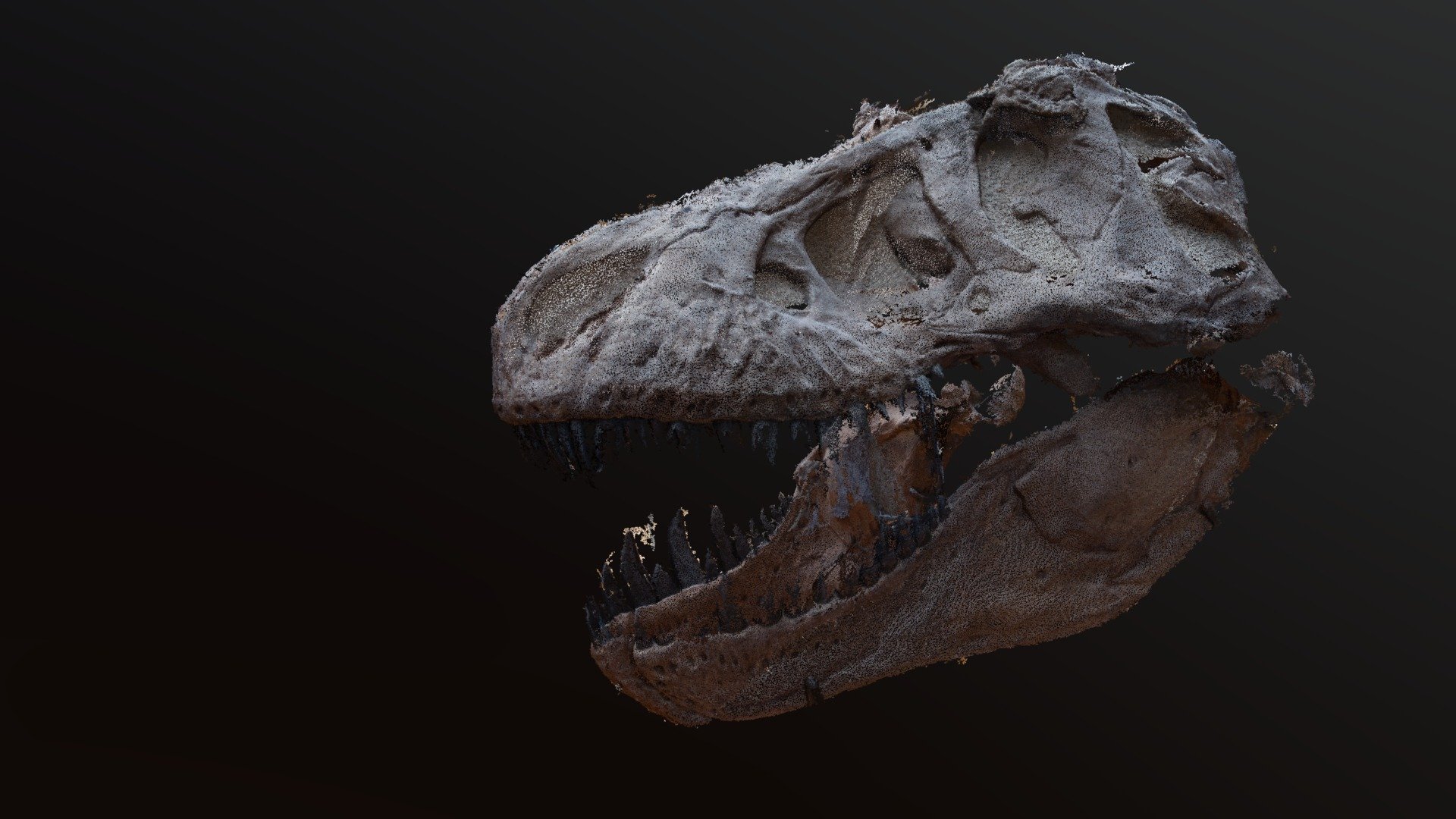 Cabeza Tyrannosaurus Rex - Mapa de puntos