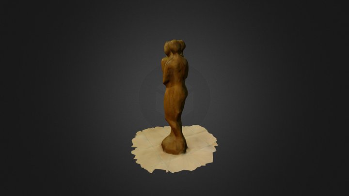 Facettes d'une femme 3D Model