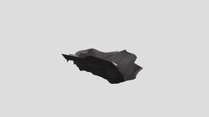 my cat1 3D Model