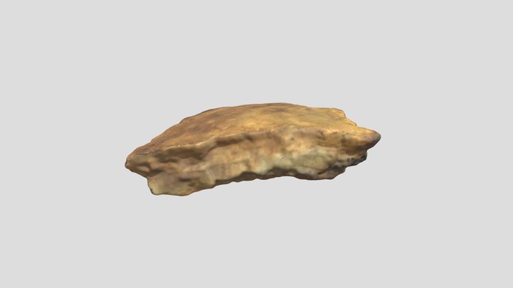 HfLm-1 VESSEL 5 SHERD 3 3D Model