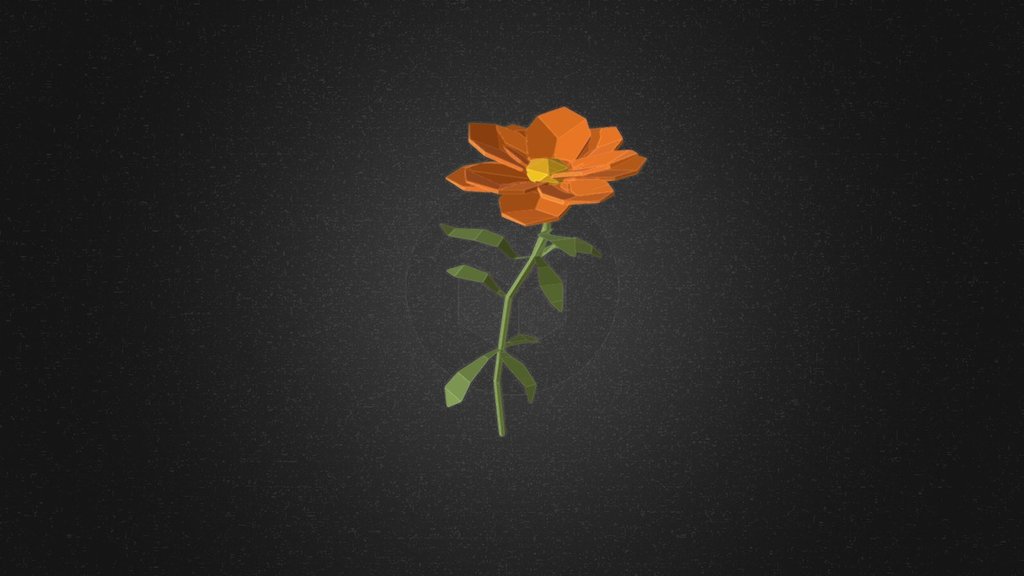 Calendula flower