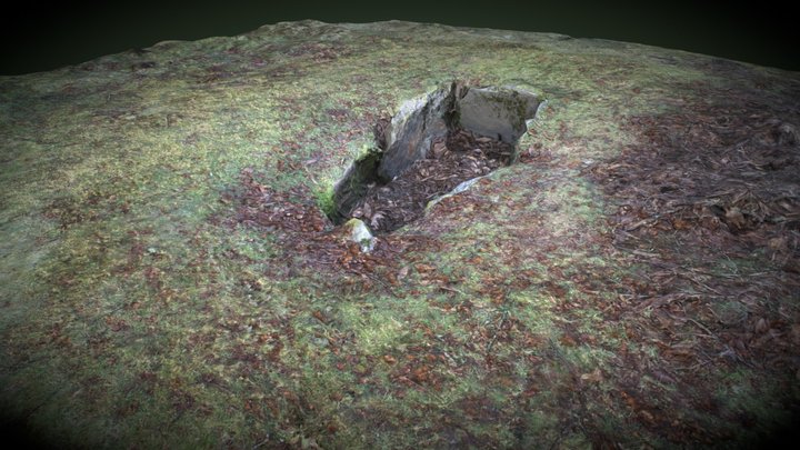 Cista Chan de Castiñeiras 3D Model