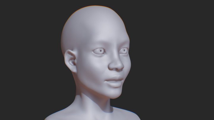 Sculpt Exercise Nov 30 3D Model