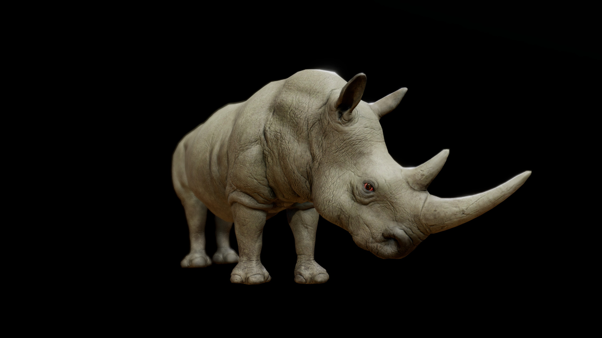 3D model RHINOCEROS ANIMATIONS - This is a 3D model of the RHINOCEROS ANIMATIONS. The 3D model is about a toy animal with horns.