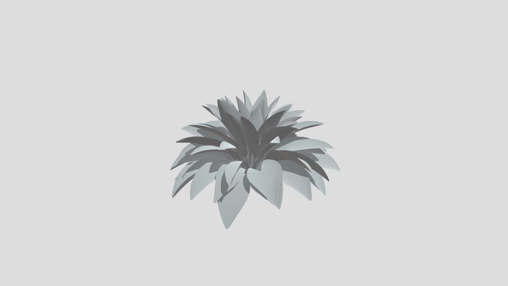 Haran Cast Iron Plant Elder
