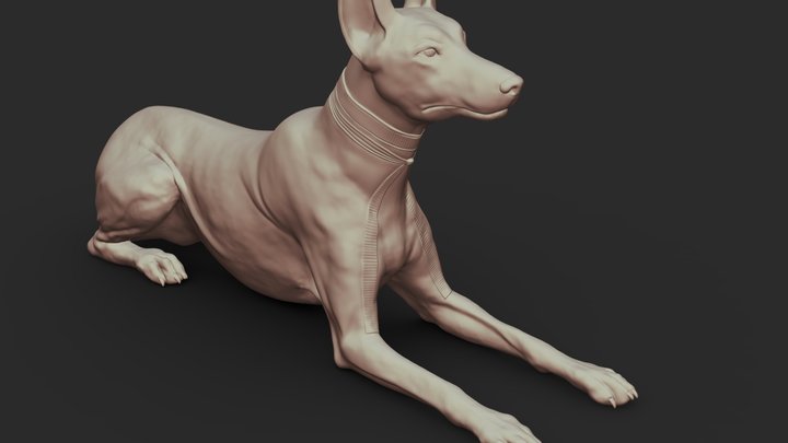 Anubis  Dog 3D Model