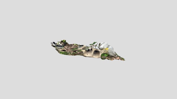 CCNY gargoyles 3D Model