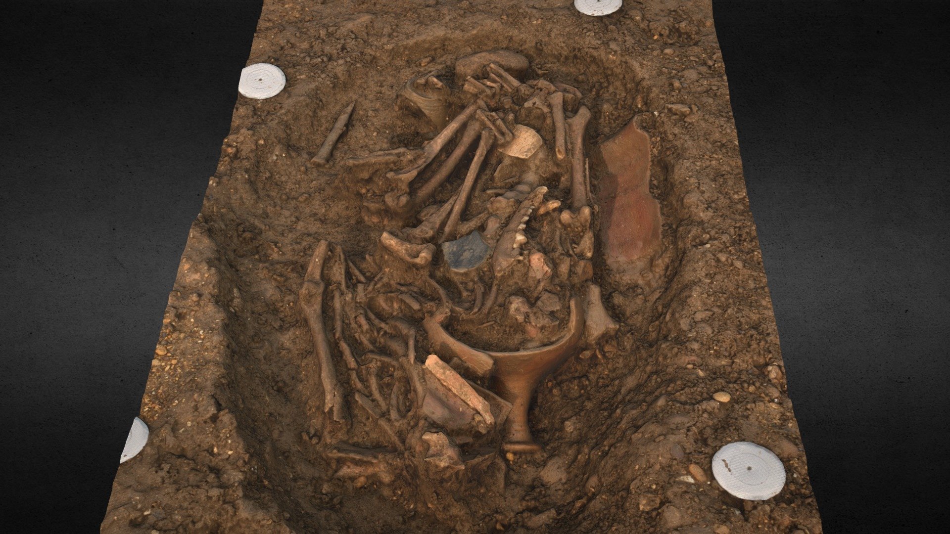 BNW20 F215 Dog Burial