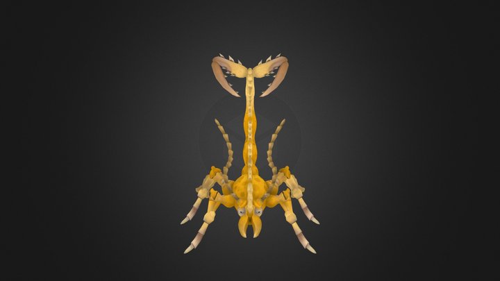 Scorpinada 3D Model